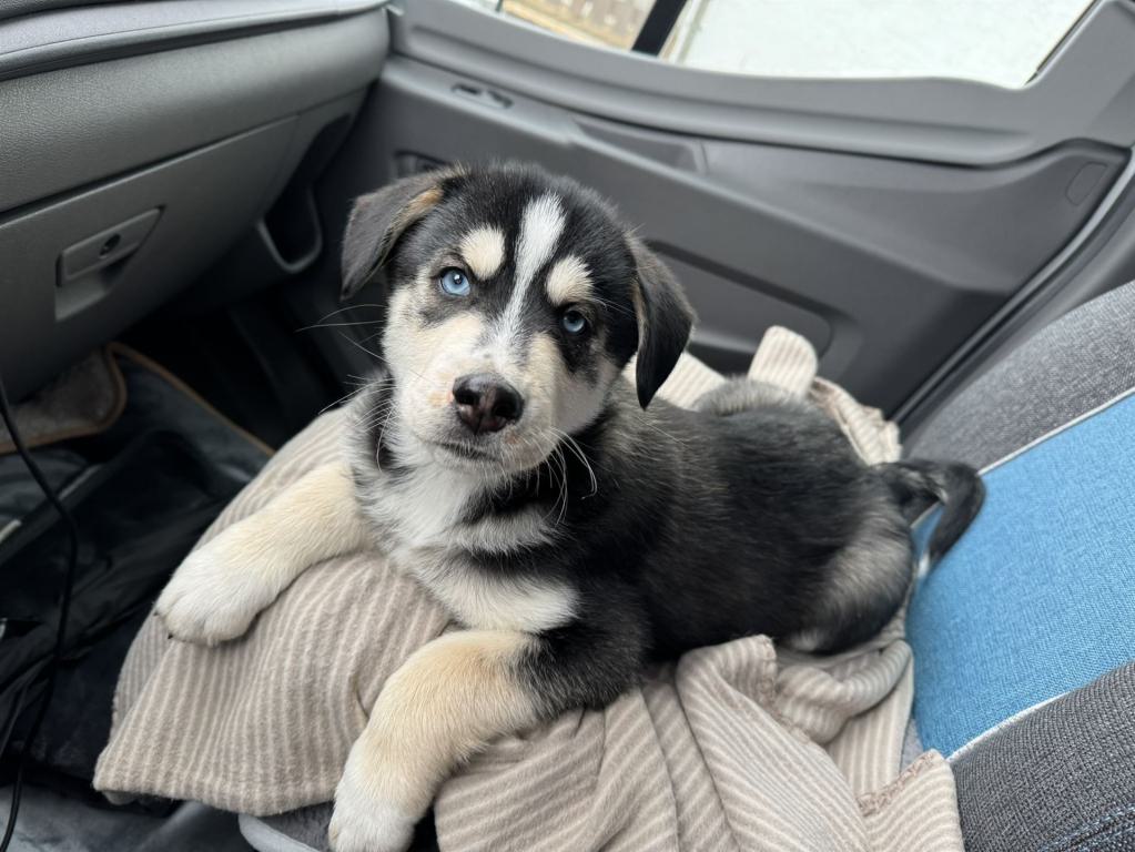 Meine erste Autofahrt Meine erste Autofahrt