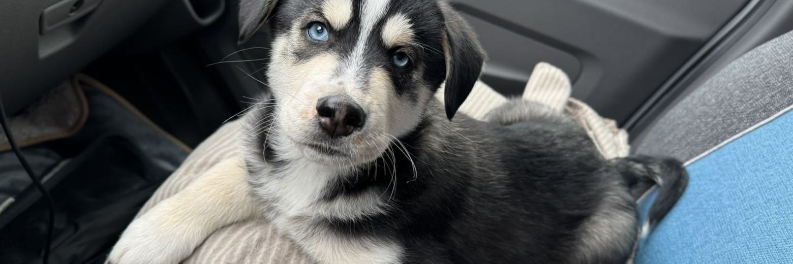 Meine erste Autofahrt