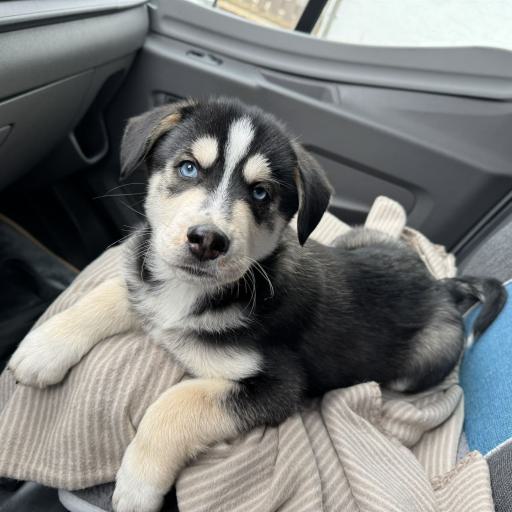 Meine erste Autofahrt